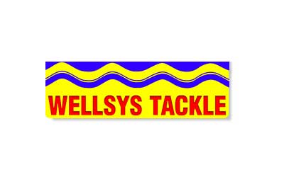 wellsys