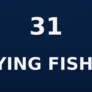 Boat 31: Flying Fisher